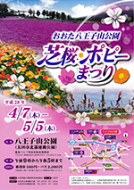 太田市北部運動公園野外ステージ